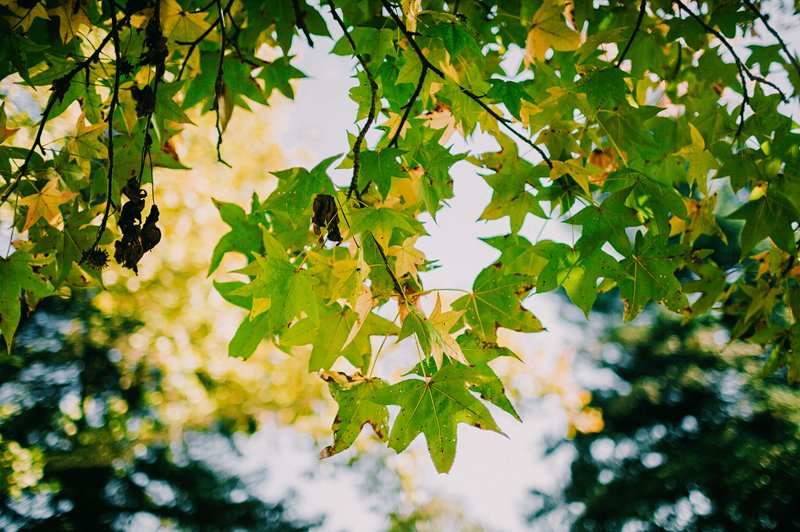 NJ_Fernbrook_Farms_Wedding_07