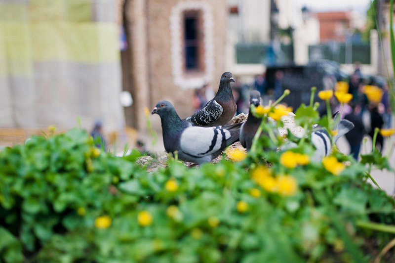 Travel_Photography_Spain_Barcelona_26