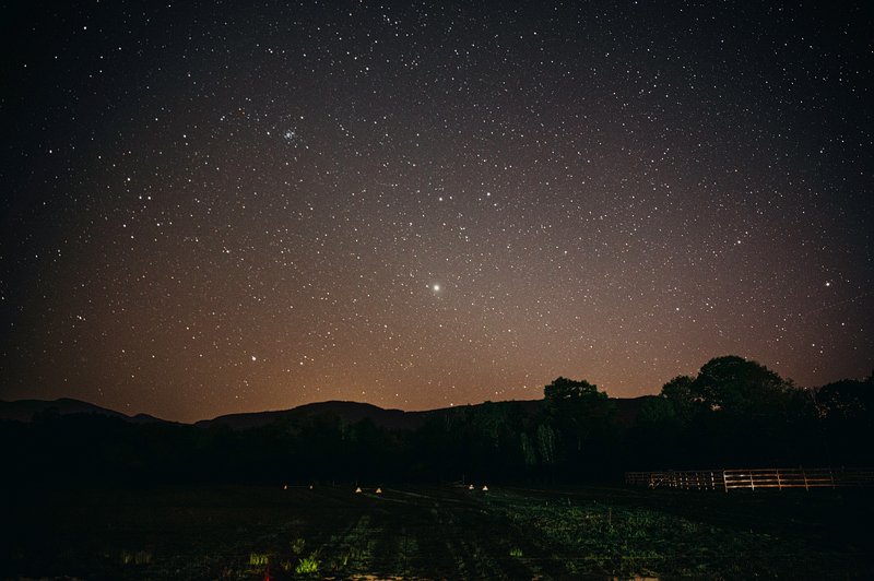 starscape hudson valley wedding