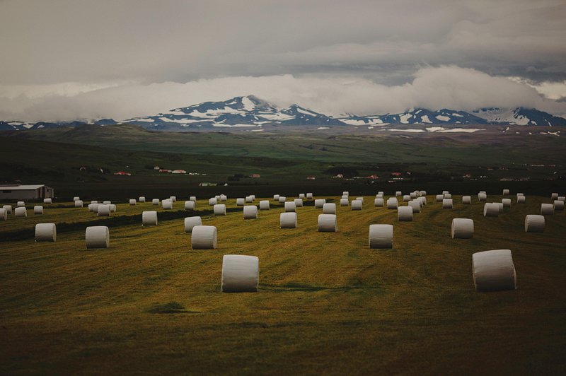 Iceland_Travel_Photography_Leica_24