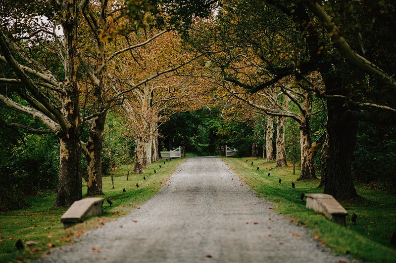 bucks county pa wedding photographer