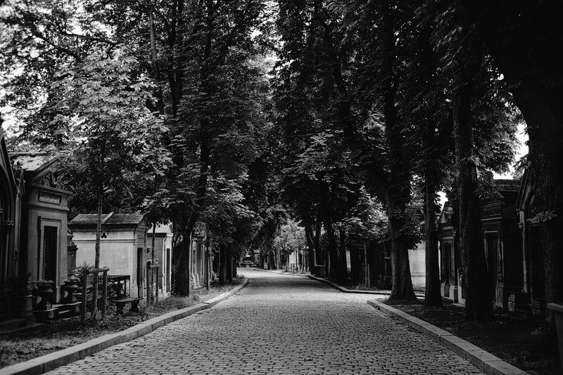 Paris France Wedding Photographer Leica M240