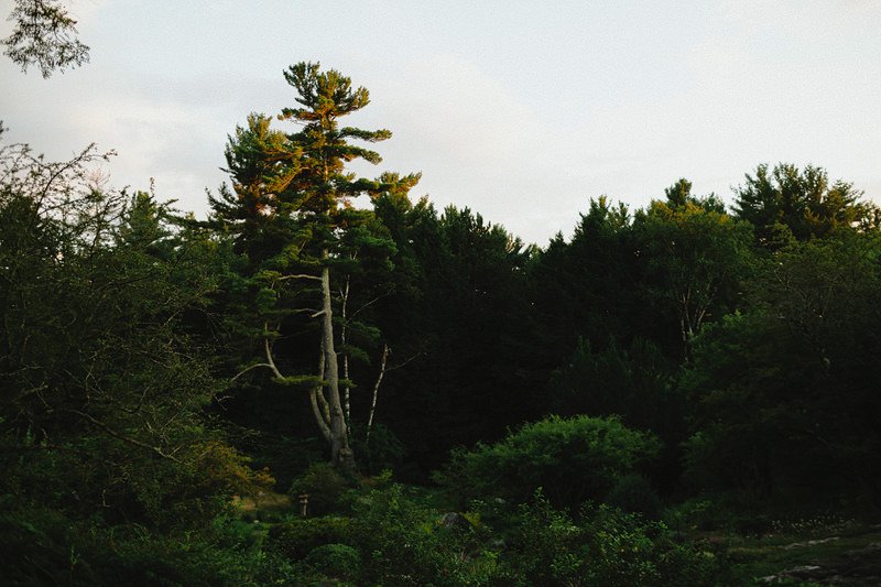 the fells newbury nh wedding