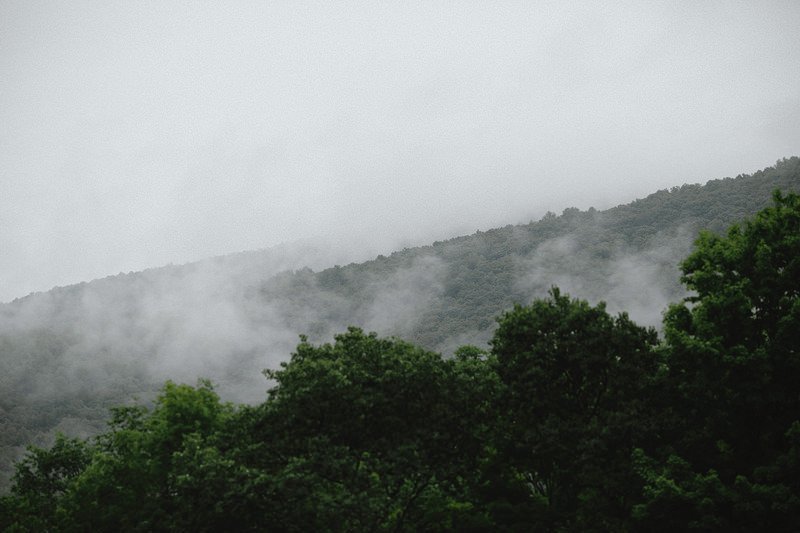 the roxbury barn catskills wedding