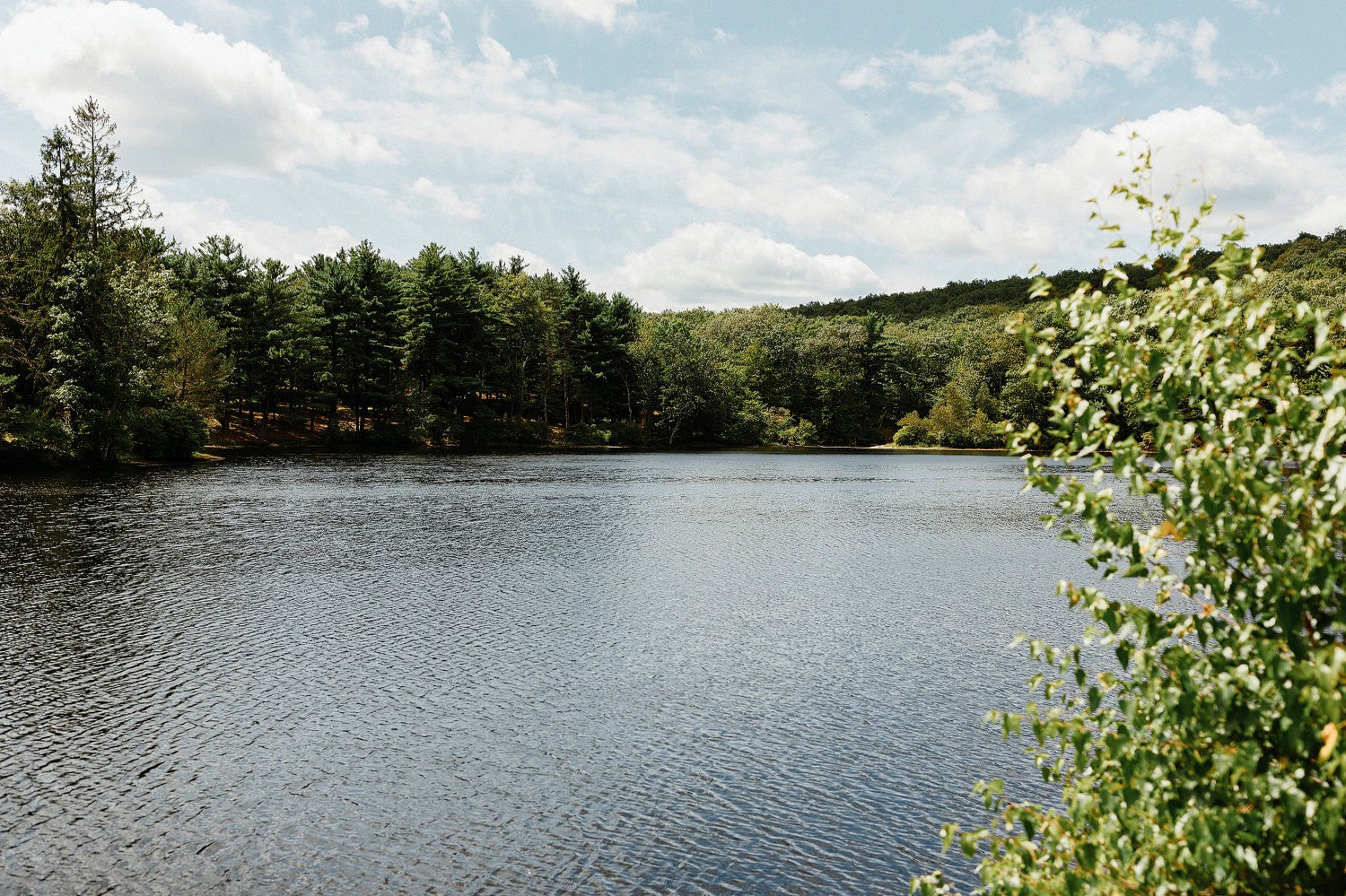 cedar lakes estate wedding