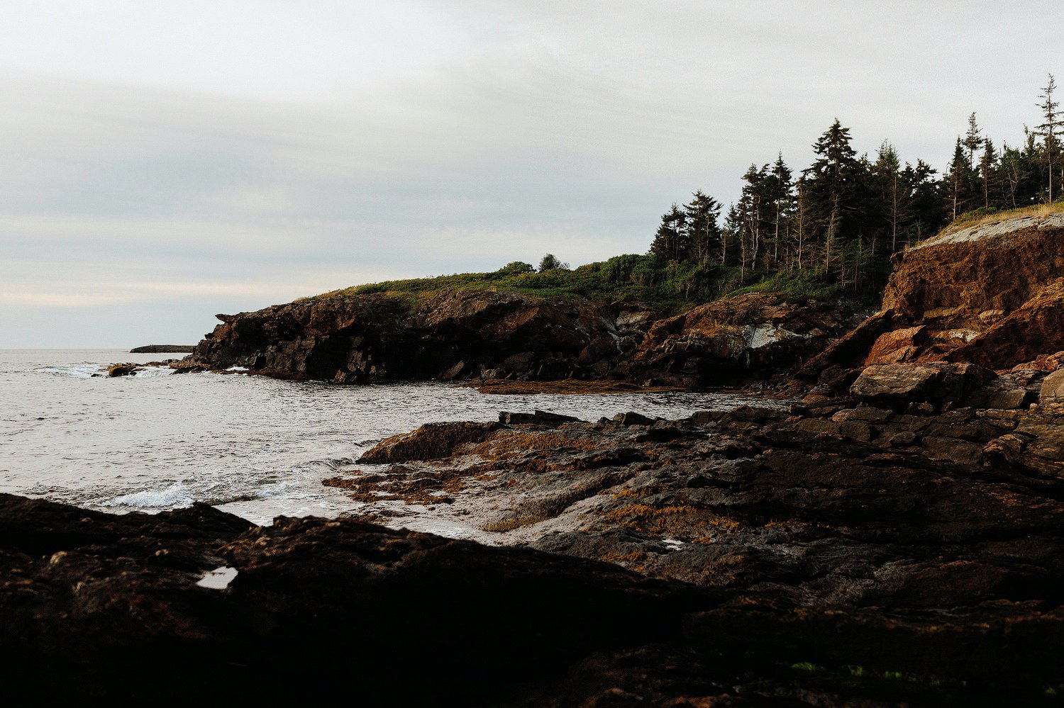 maine sunrise session