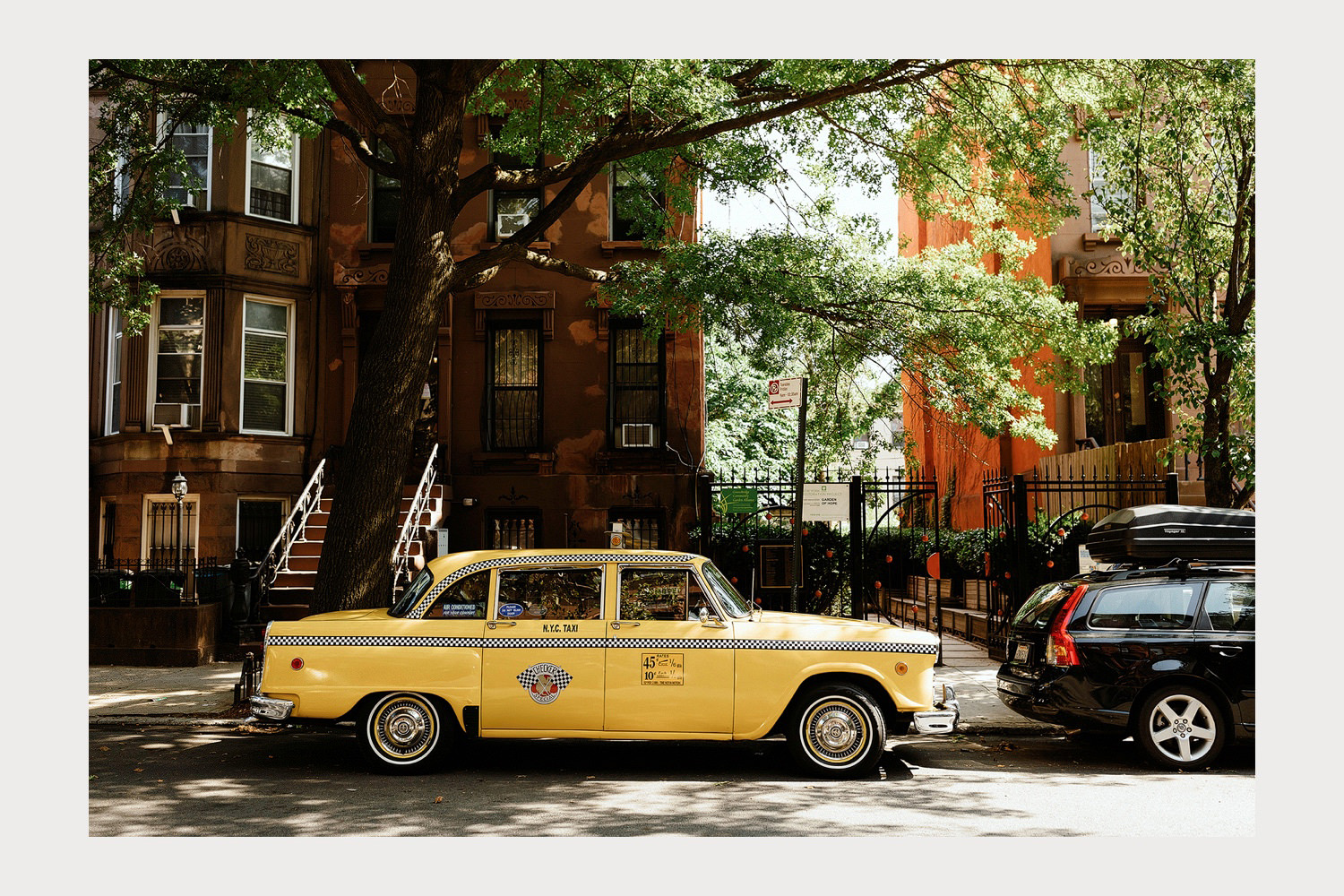 brooklyn elopement bed stuy